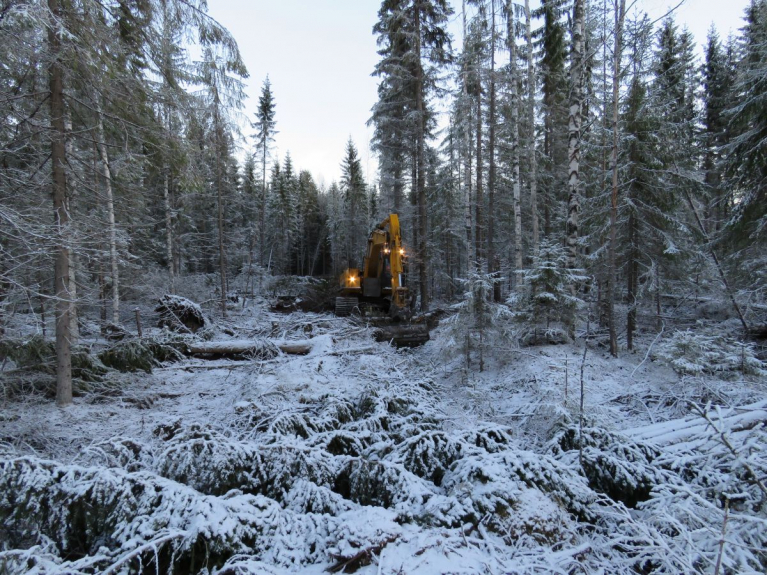 kaivinkone, ennallistaminen