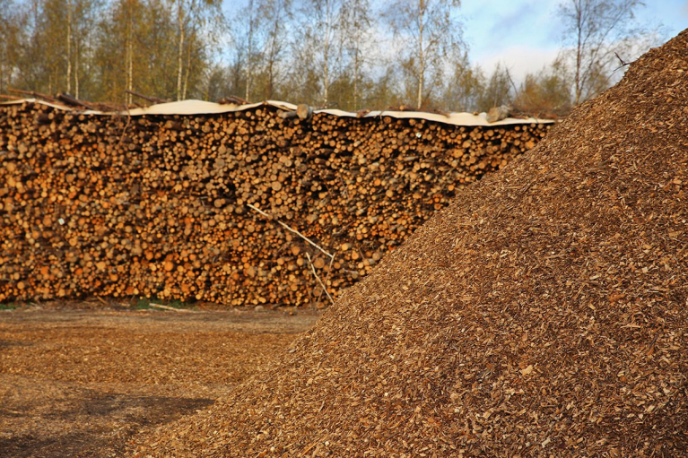 biomassa