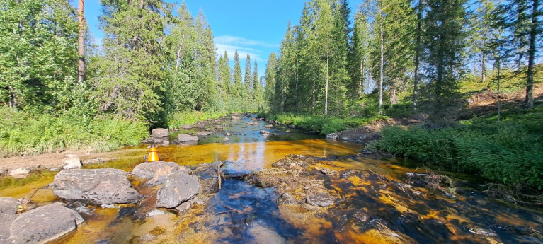 hukkajoen raakkutuho