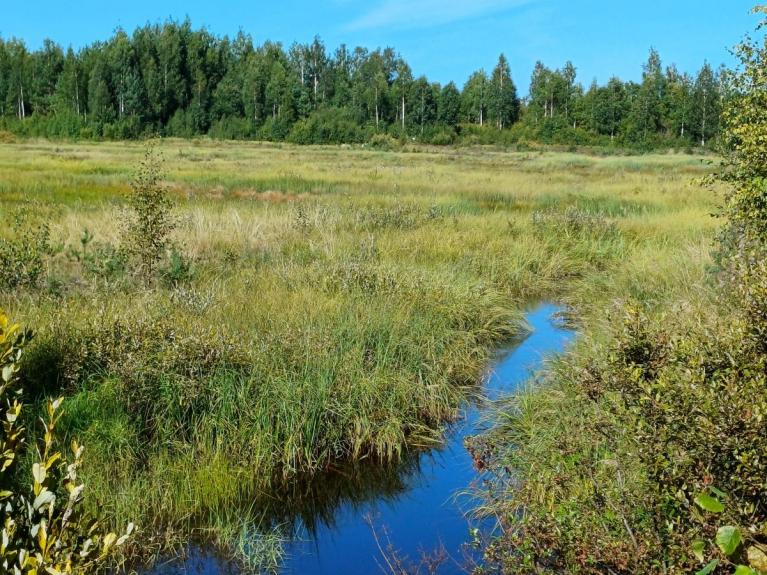 Aurinkovoimaloiden vaikutuksista vesiin ja ilmastoon kootaan näkemystä