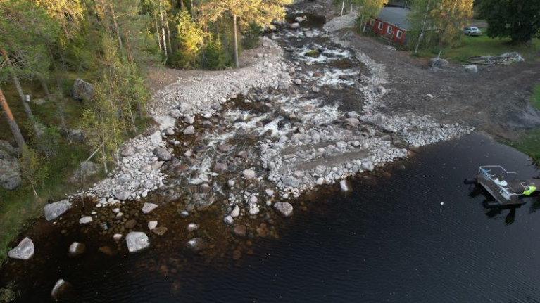 a river flowing through a forest