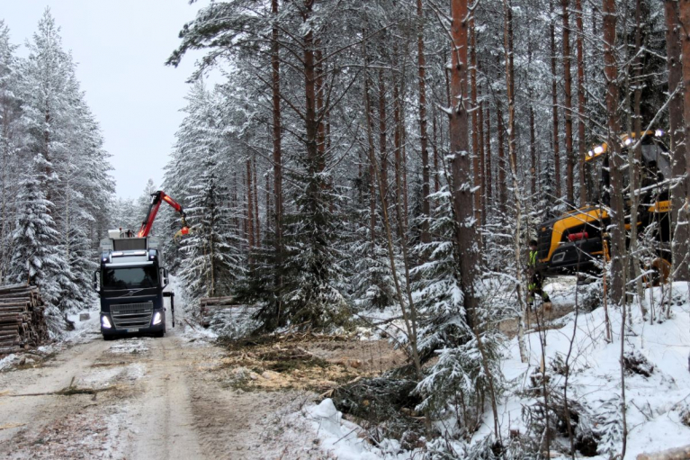 puuauto ja kuormatraktori pinolla