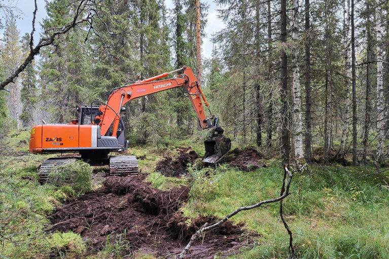 Koukkupuron ennallistaminen