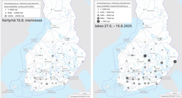Kirjanpainajan parveilumääriä kartalla