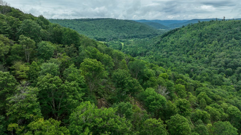 Yhdysvaltojen rinnemaastot