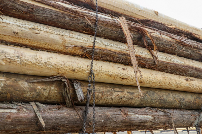 pintavaurioita pylväspuissa