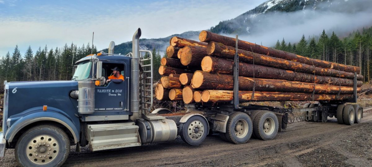 Van Dyk & Son puuauto