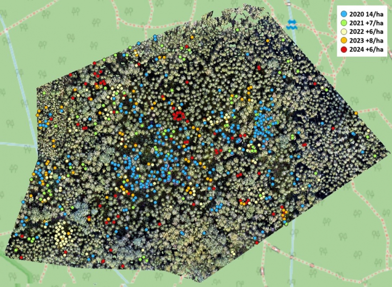 Kirjanpainajan tappamien puiden määrän vuosittainen kasvu Helsingin Paloheinässä