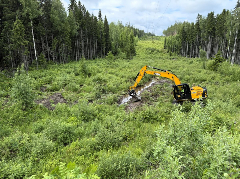 ennallistaminen, Viitasaari