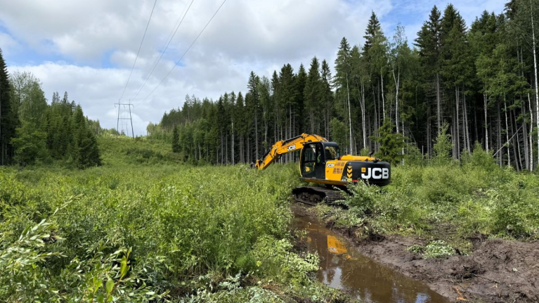 ennallistaminen, Viitasaari