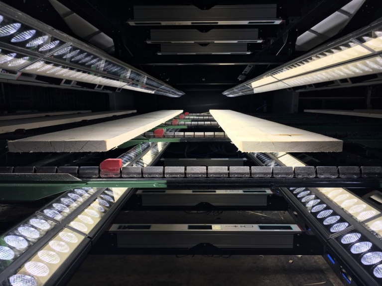 Reduced shadow chain conveyor