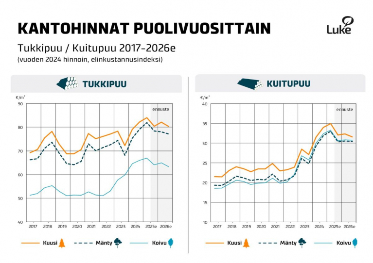 Tukkipuun ja kuitupuun kantohinnat puolivuosittain 2017-2026