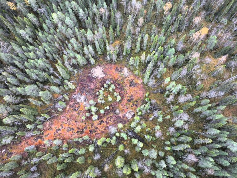 Honkakappaleenoja, Kemijärvi