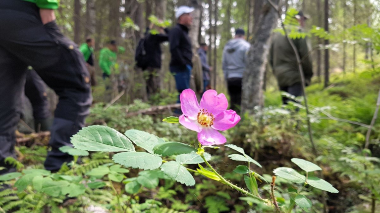 Luonnonhoitokoulutus