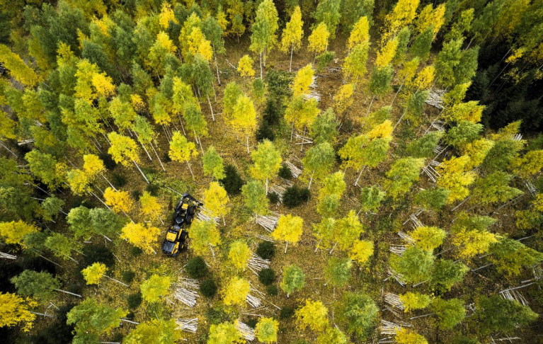 Ponsse Cobra harvester