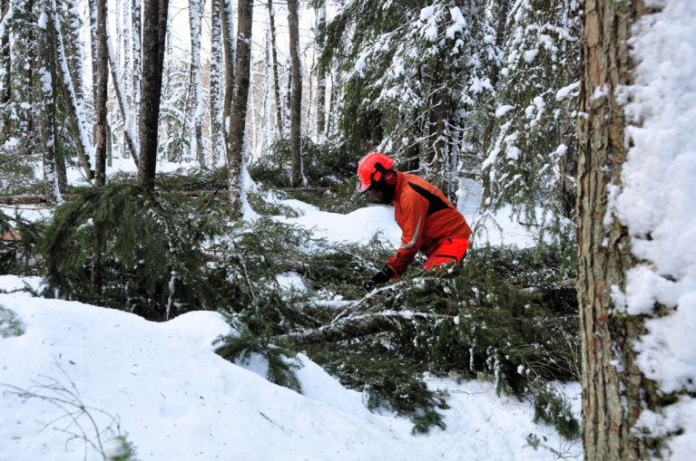 Lehdon hoitoa talvella.