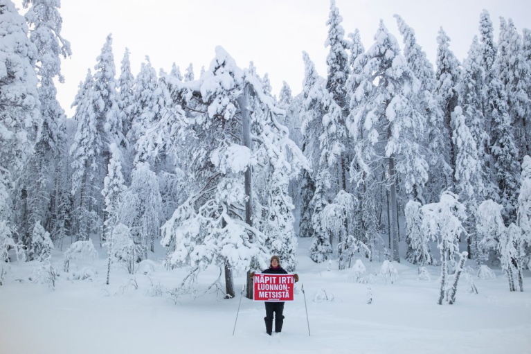 Greenpeace ja Metsäliike partioivat Hoikanvaaran luonnonmetsässä Taivalkoskella.