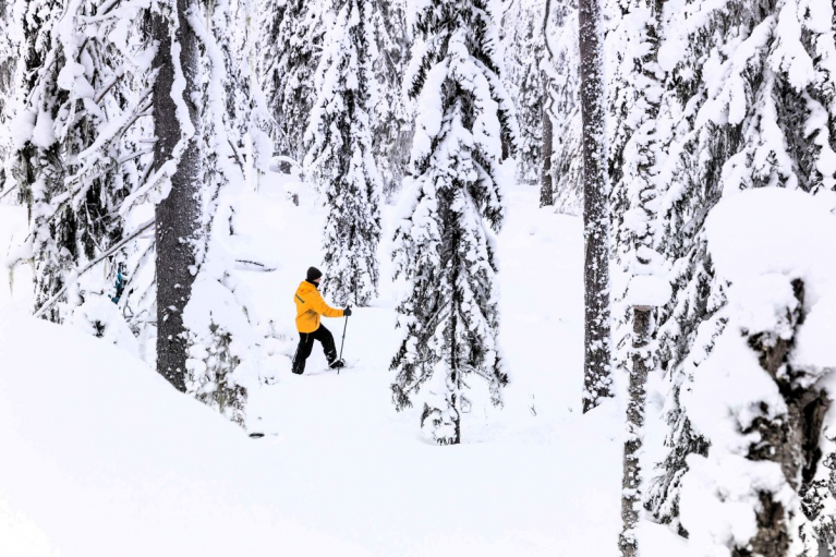 vapaaehtoinen metsävahti