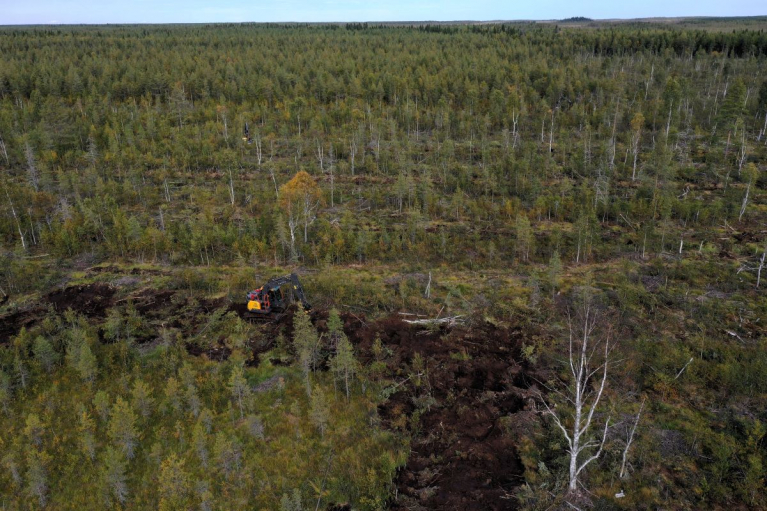 Ennallistettua Värkkisuota syyskuussa 2025.