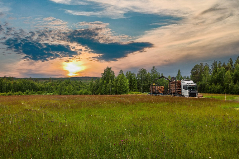 Scania puutavarayhdistelmä