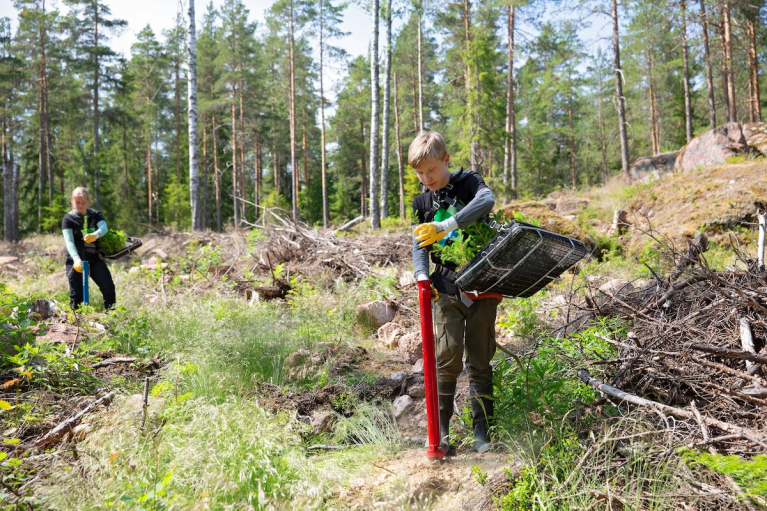 Metsähallituksen kesäistuttajat