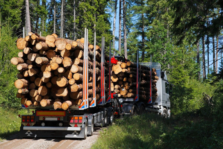 puutavarayhdistelmä