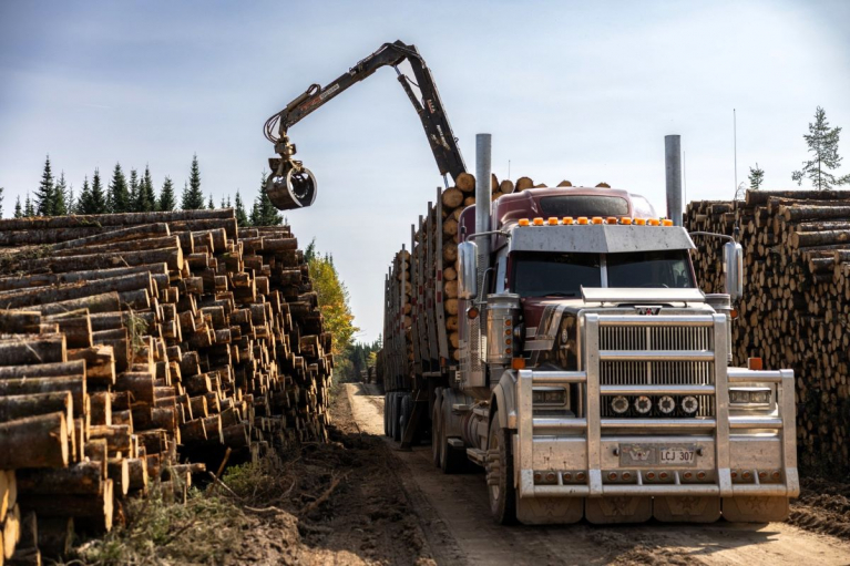 pohjois-amerikan puuauto