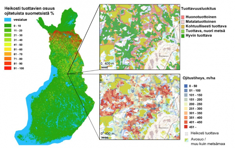 ojitettujen suometsien tuottavuuden karttakuva