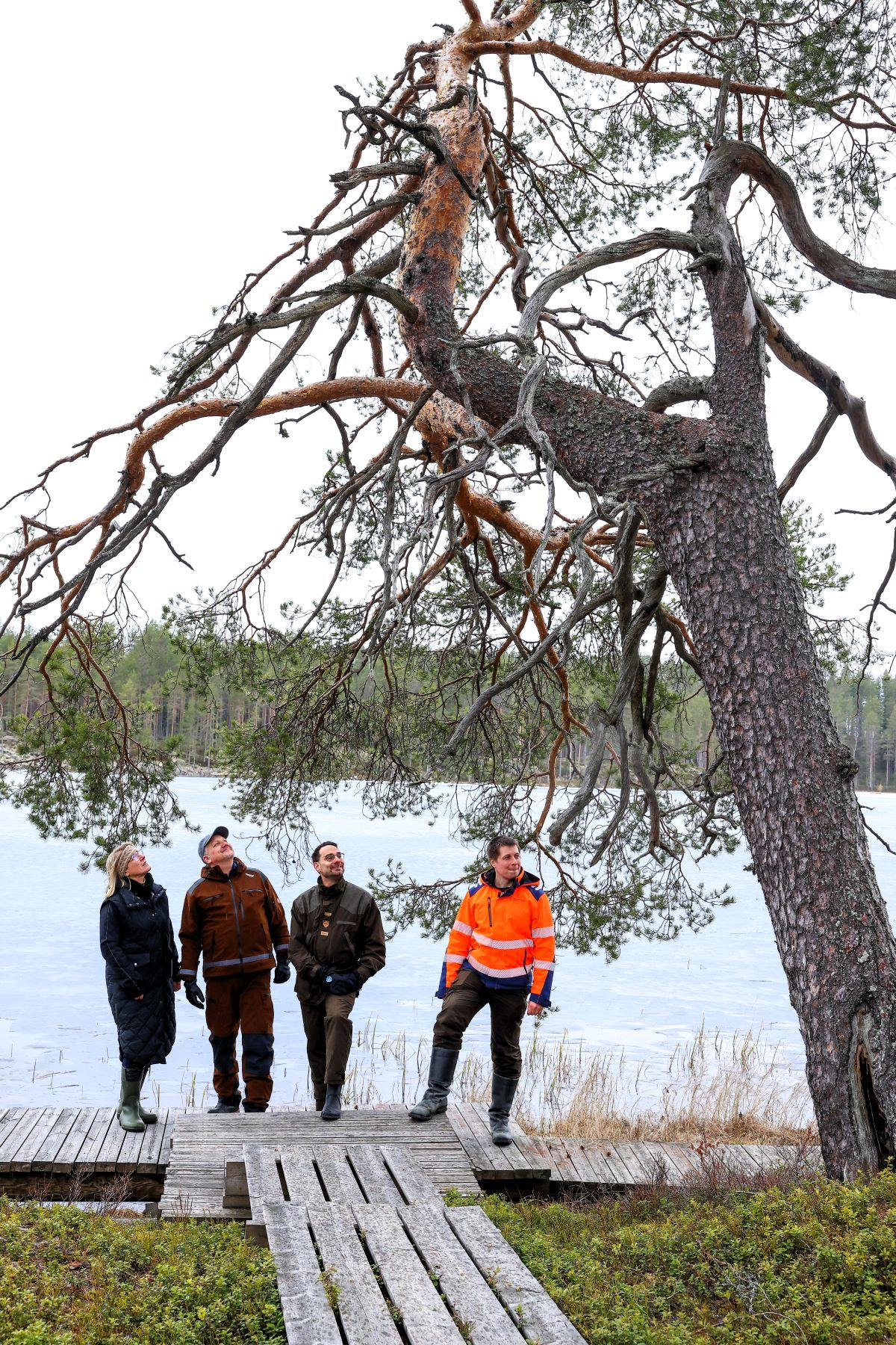 Heli Siitari, Petri Purmonen, Petri Vähä ja Panu Kukkonen.