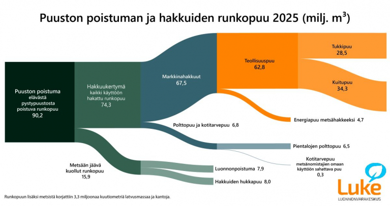 hakkuut ja poistuma 2025