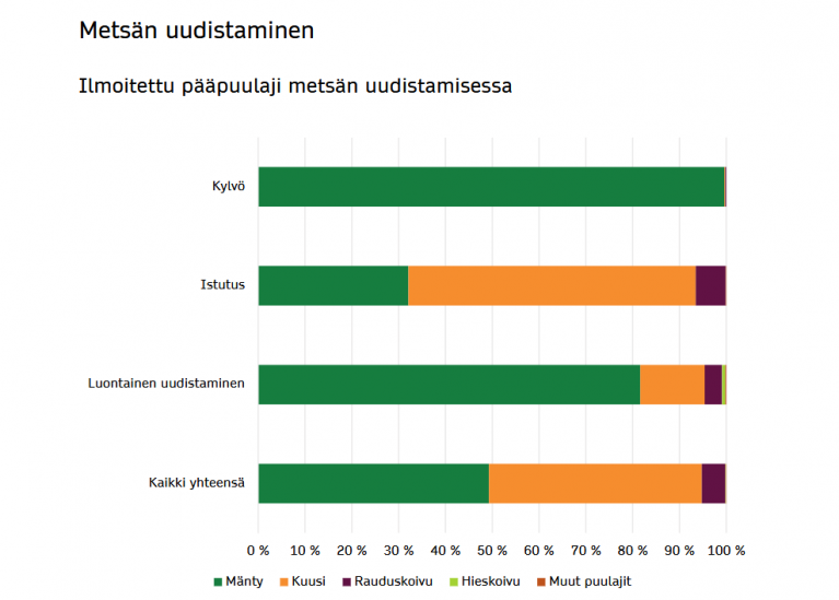 metsän uudistaminen