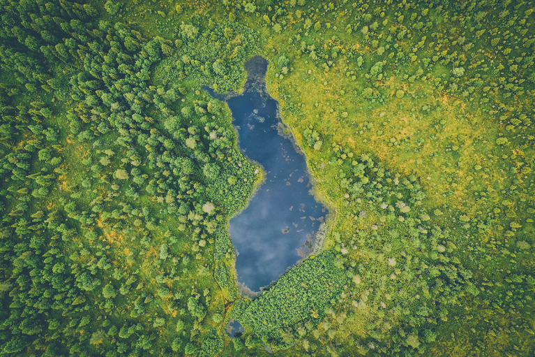 järvi