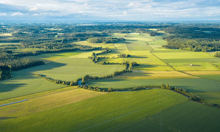 maalaismaisema
