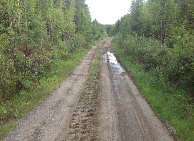 metsätie