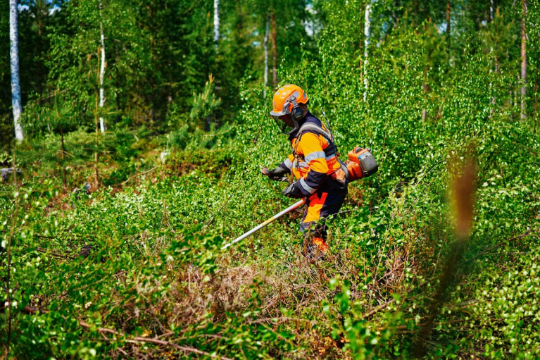 metsuri raivaussahatöissä