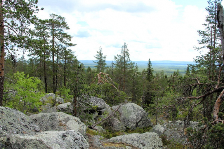 lappi