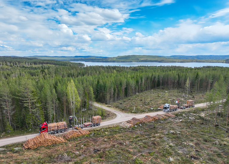 Kaksi puuauto myrskytuholeimikolla Ruotsissa