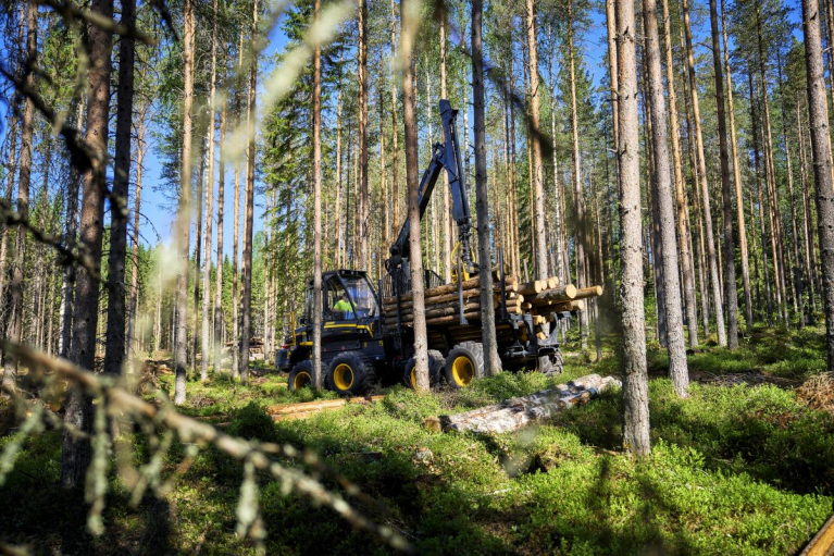 PONSSE Wisent Thin Line forwarder carrying a load of timber at a thinning site.