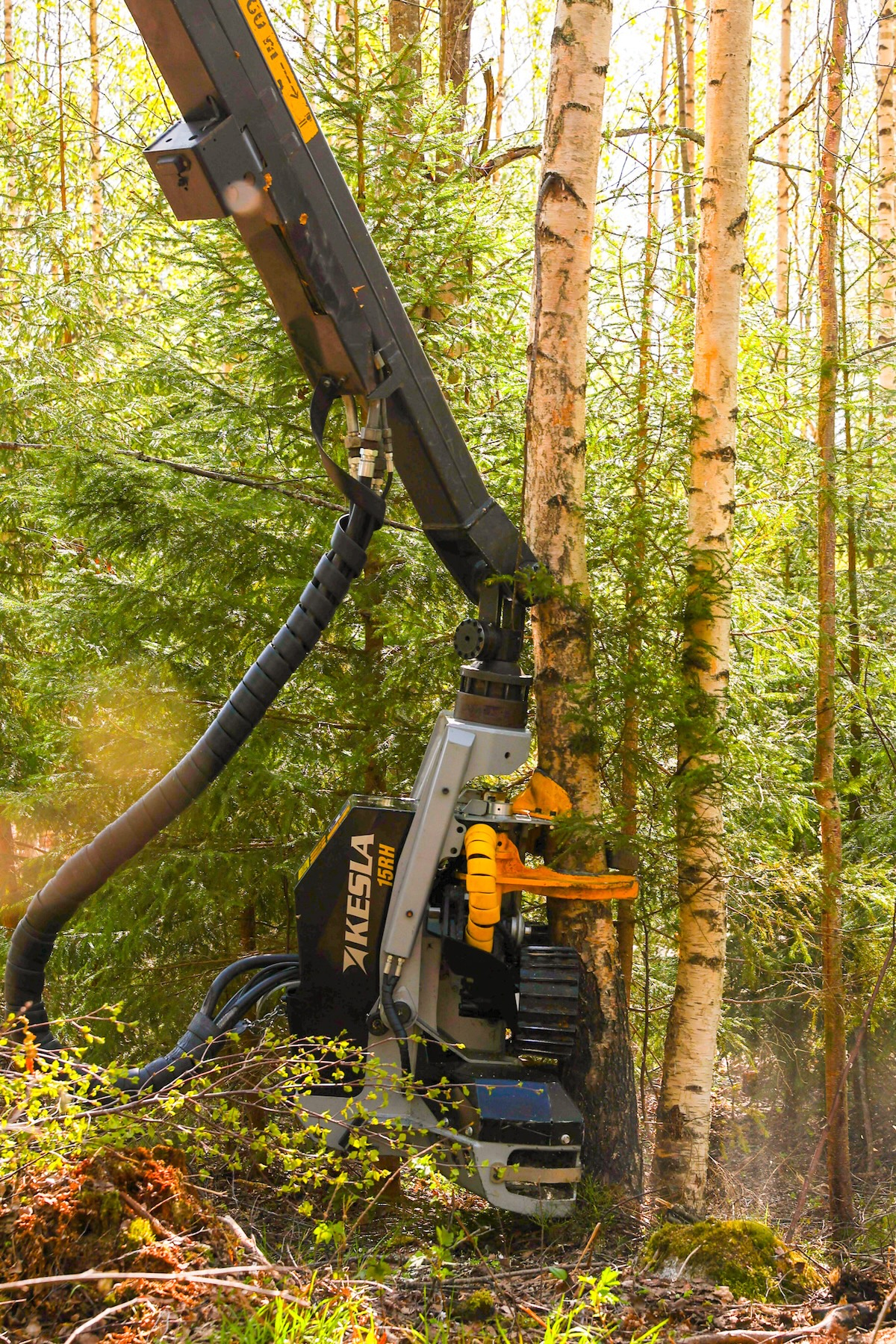 Uusi KESLA 15RH -harvesterikoura pieniläpimittaisen puun korjuuseen.