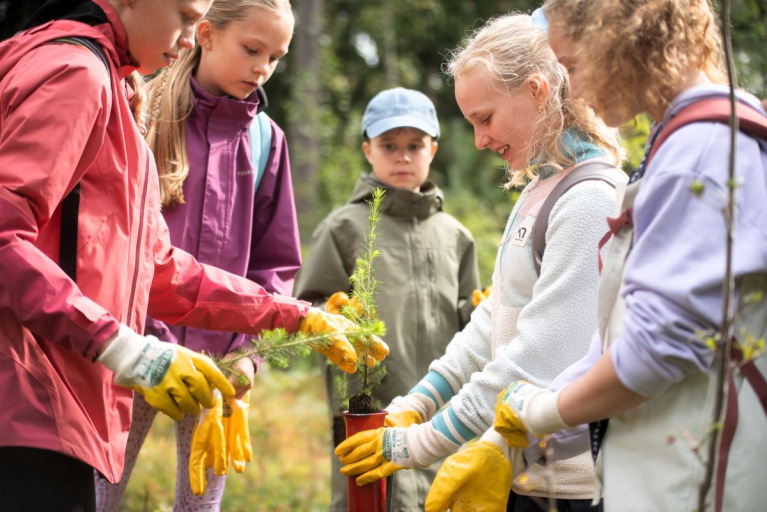 Kuudesluokkalaiset istuttavat puuntainta metsäpäivän toimintarastilla.