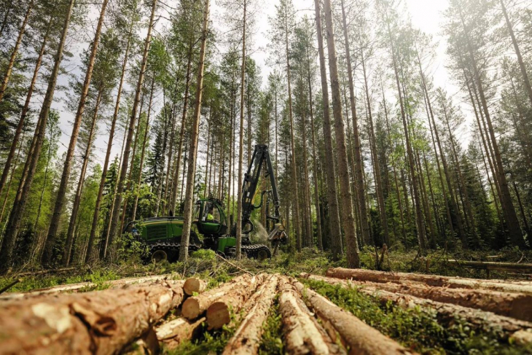 Hakkuukone työskentelee havumetsässä, ja etualalla on katkottuja puunrunkoja maassa.