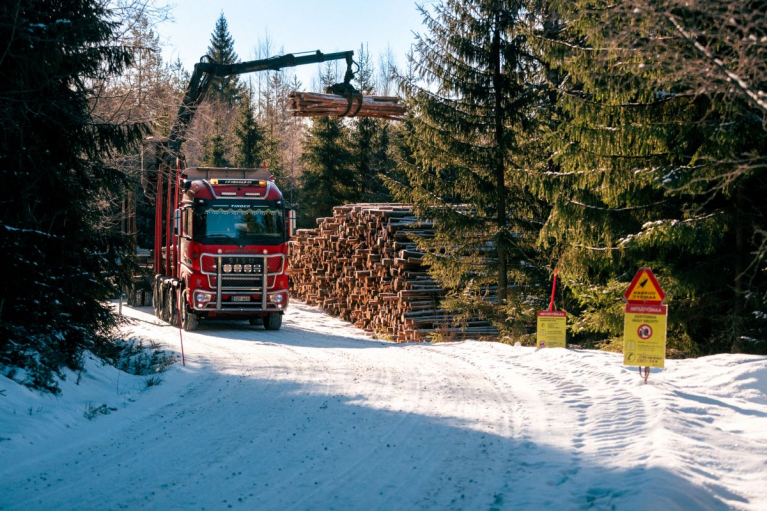 Punainen puutavara-auto kuormaa puunrunkoja tienvarsipinosta lumisella metsätiellä.