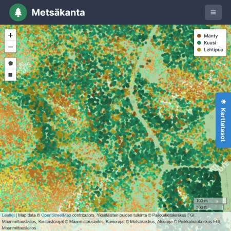 metsäkanta