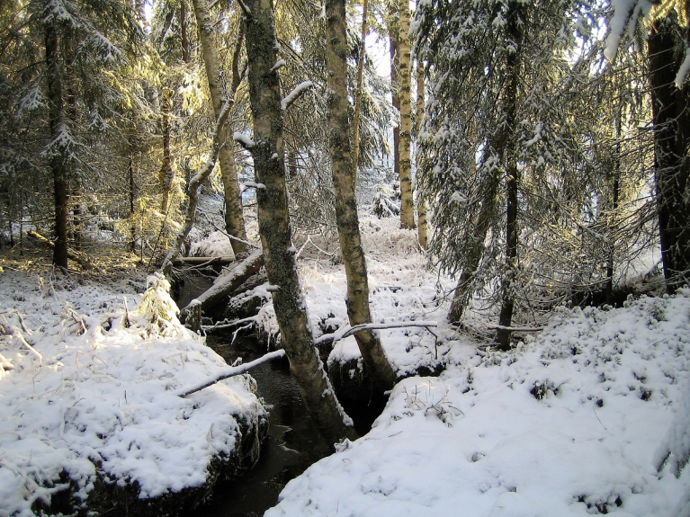 Puro talvella, Jalasjärvi